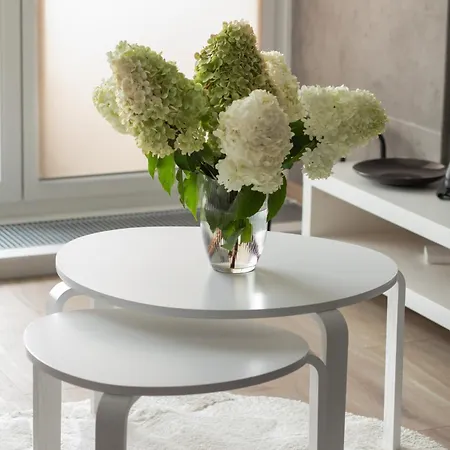 Apartment Porta Mare Blisko Plazy Z Klimatyzacja I Parkingiem By Rent Like